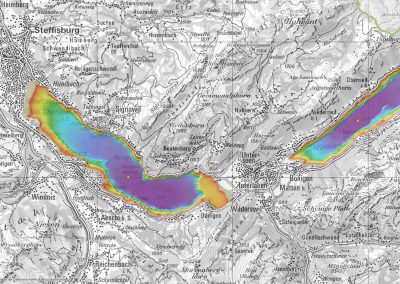 Topobathymetry of Lakes Thun and Brienz published online