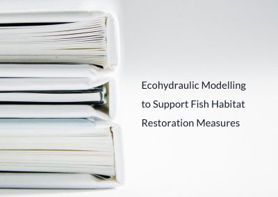 New Publication: Ecohydraulic Modelling to Support Fish Habitat Restoration Measures